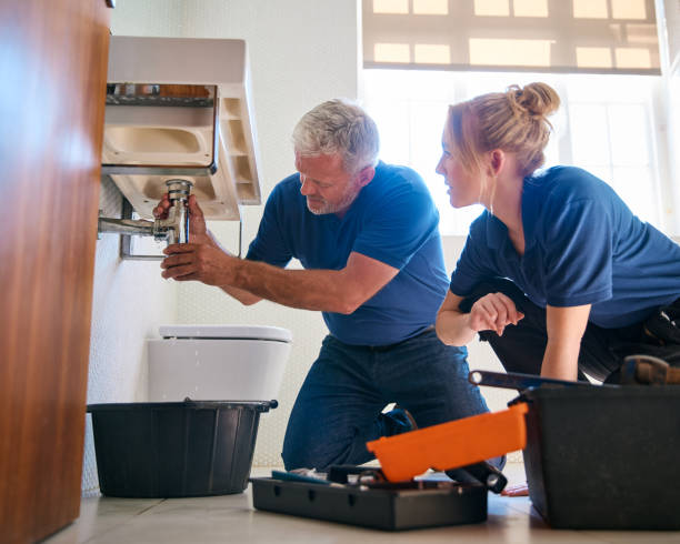 Best Clogged Drain Plumber  in Wilsonville, AL